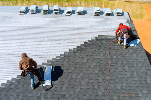 Best Storm Damage Roof Repair  in Ladue, MO