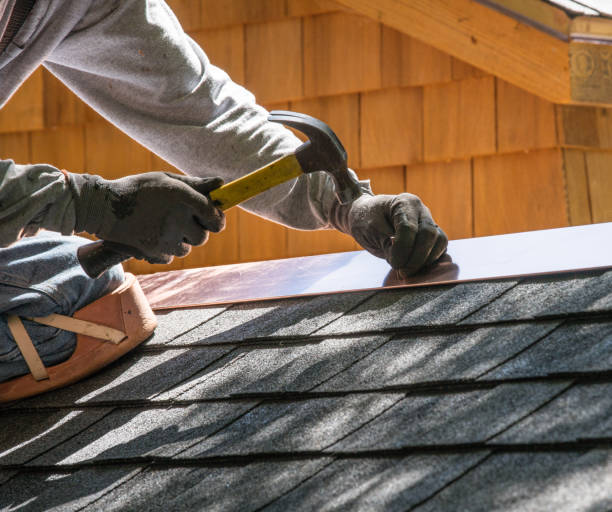 Best Roof Gutter Cleaning  in Ladue, MO